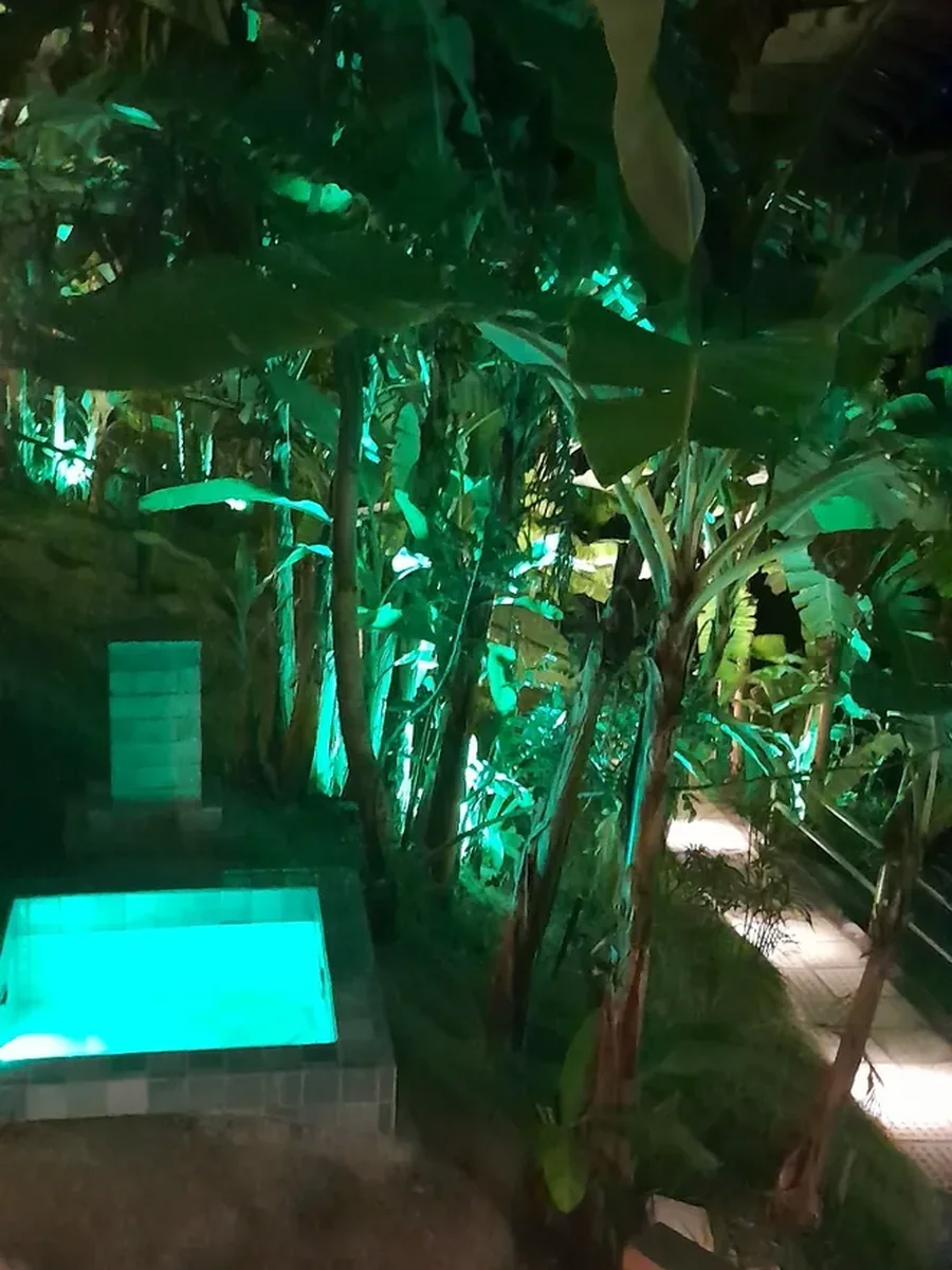 Suíte Exclusiva DomRicardo — jardim iluminado e piscina externa