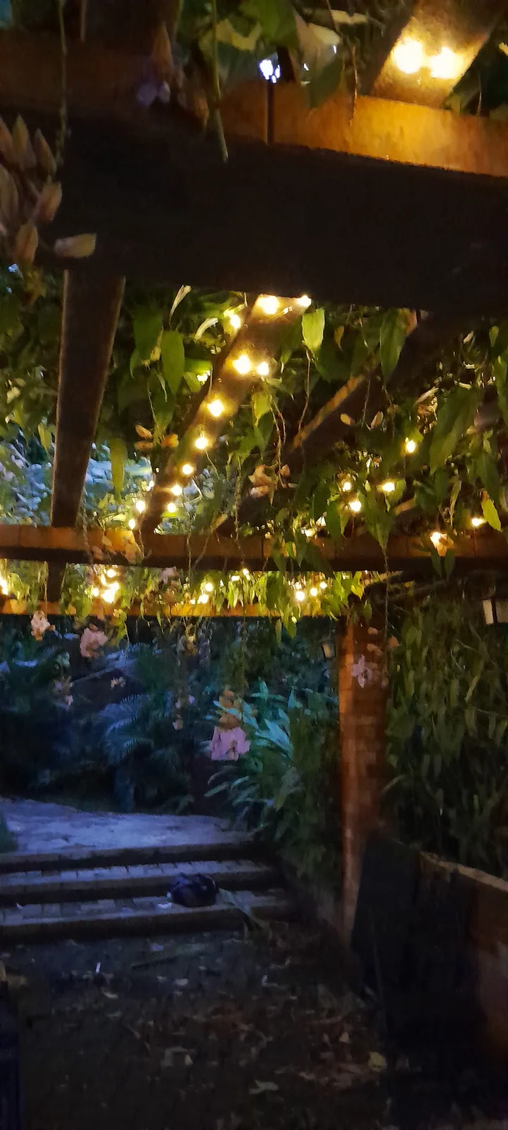 JARDIM